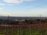 863 - Blick über Leimen 1 Wo bleibt denn der Winter? Erstes Frühlingswetter über Leimen!