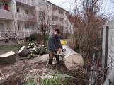 946 - Baumfällung Sportplatz- “Bügerbegehren” mutiert zur “Wünsch-Dir-Was”-Komödie
