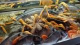 Fischerstübchen Fischbuffet Neueröffnung: “Fischerstübchen in Leimen am See” – Spezialitäten: Fisch & Paella